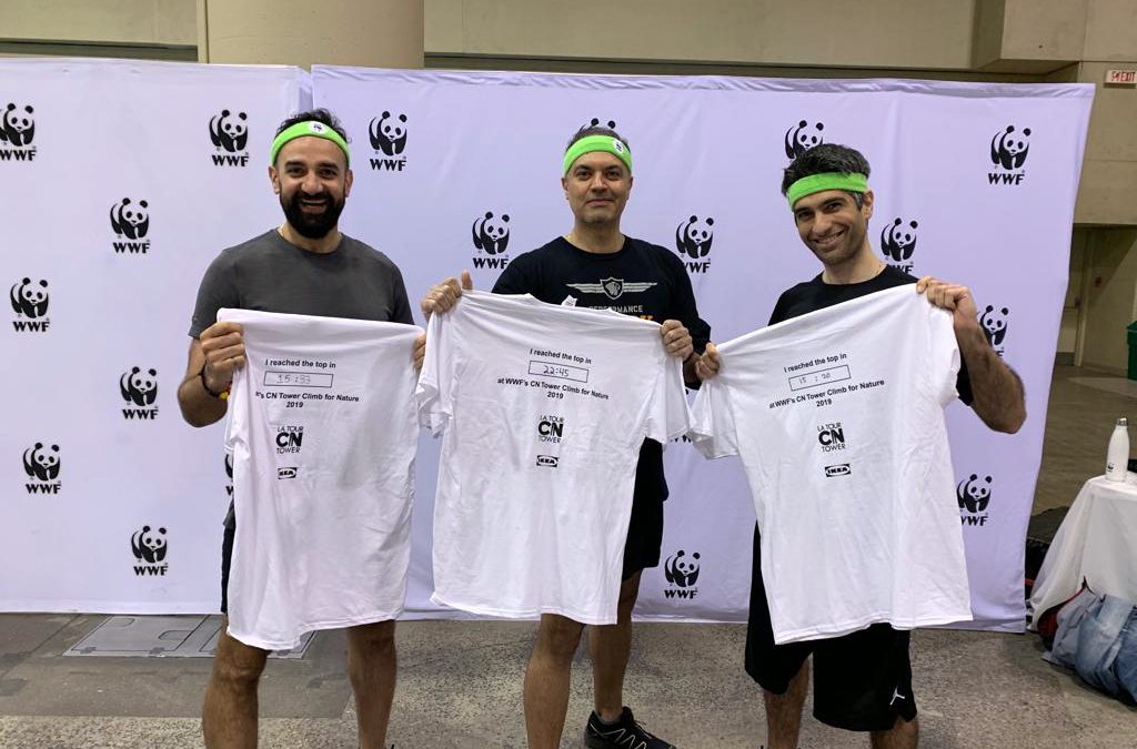 WWF’s CN Tower Climb for Nature