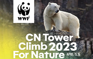 Support Canadian Wildlife by Climbing the CN Tower with Nuday!